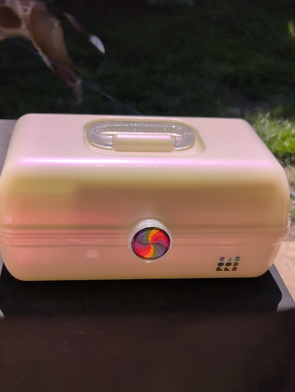 Cream Color Cosmetic Case with Rainbow Spin Detail